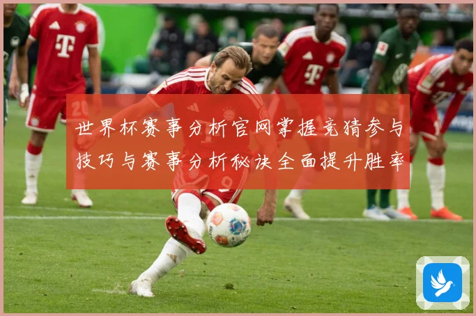 世界杯赛事分析官网掌握竞猜参与技巧与赛事分析秘诀全面提升胜率数据研判-深度解析