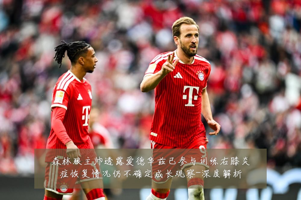 森林狼主帅透露爱德华兹已参与训练右膝炎症恢复情况仍不确定成长观察-深度解析