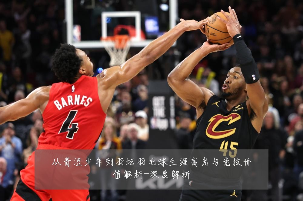 从青涩少年到羽坛羽毛球生涯高光与竞技价值解析-深度解析